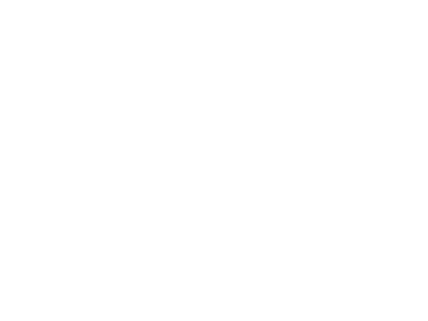 BELSIS Global